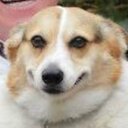 Josie Crabb - @CrabbyJosie72 - Twitter