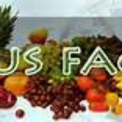 greenonlineprof's profile picture. Promote healthy diet and fitness. Internet Marketing and Information.