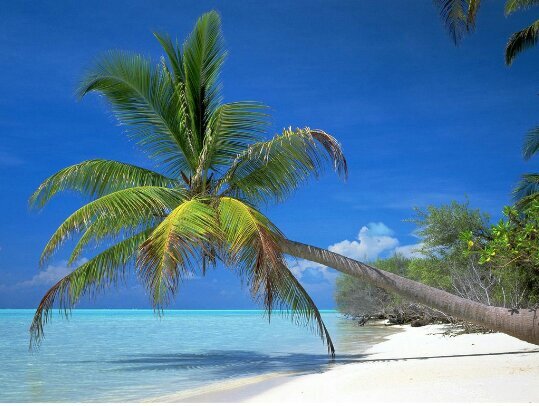 Promoting events from St Petersburg to Key West Fla
