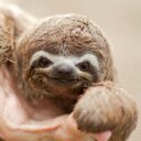 Caleb Kendrick - @caleb_dawg - Twitter