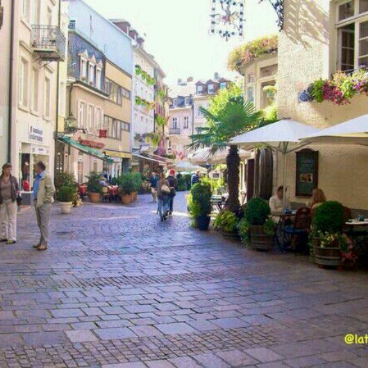 AbosandAlshibli's profile picture. 