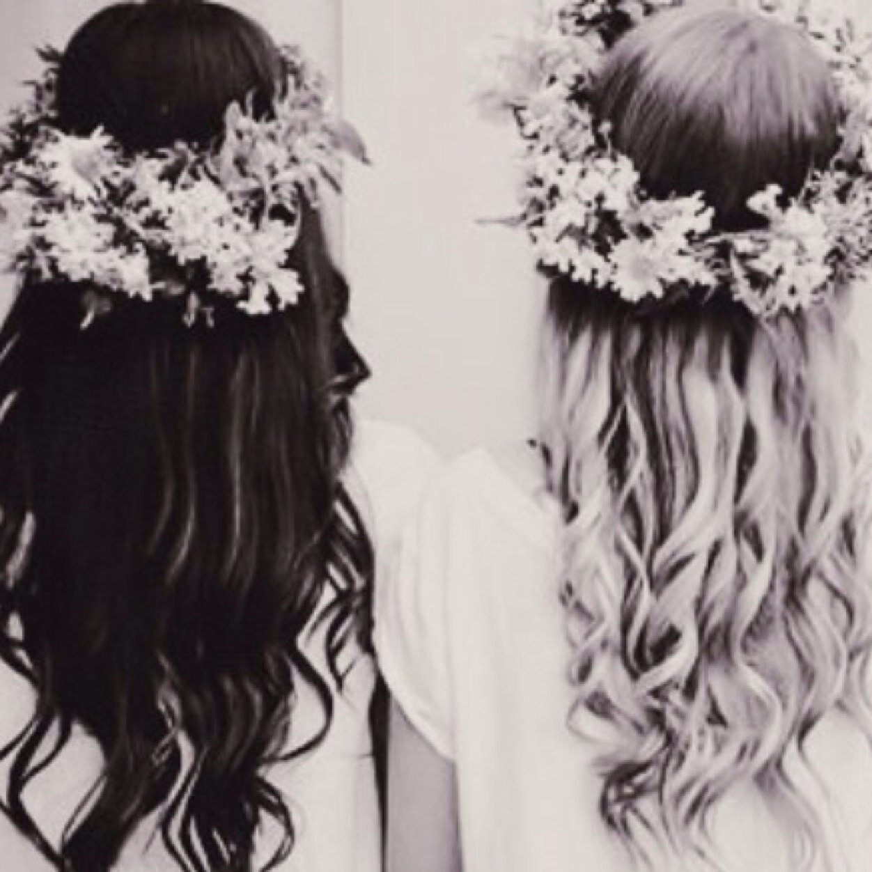 Hi :) Please follow @Chriselle_C so she can reach her goal. She follows back. Love you lots, and stay lovely.