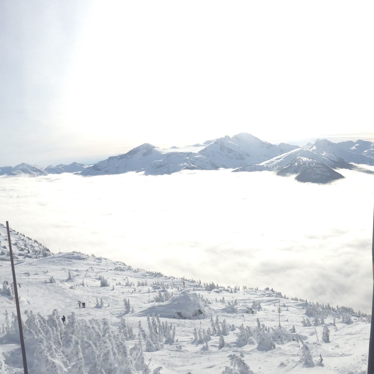 patrickjhartery's profile picture. 