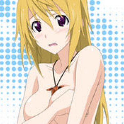 シャルロット デュノア Sd So Nari Twitter