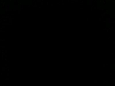 lieffsmurfjex's profile picture. 