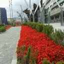 Gilberto Guzman - @g2x1d - Twitter