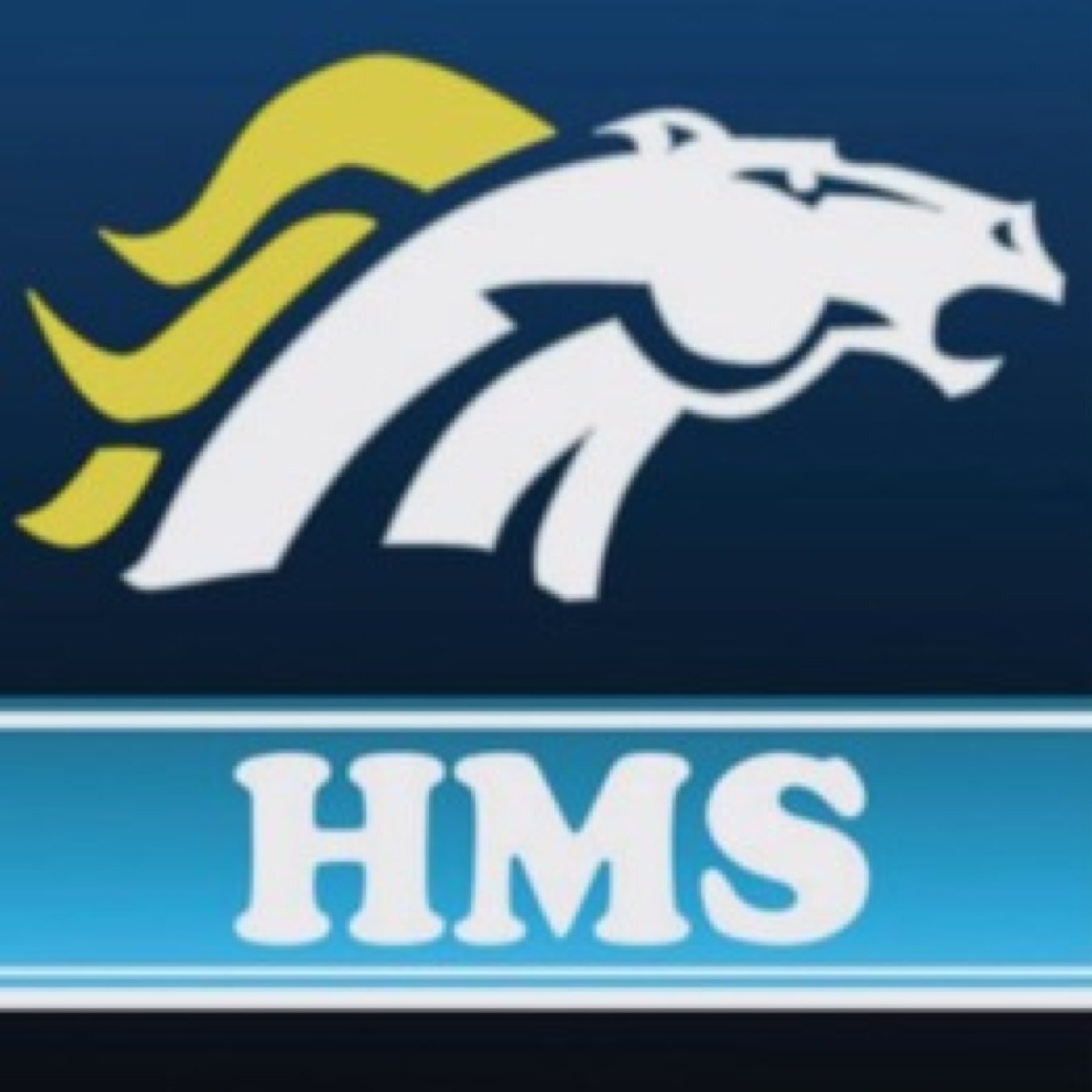 HMScomp Profile Picture