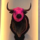 Valérie DIBON - @LiliCook - Twitter