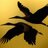 idimagine's profile image