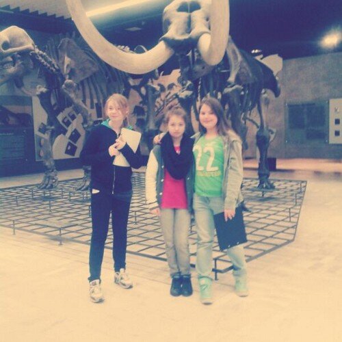 mimidohms's profile picture. ....