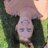 NepheloidNettie's profile image