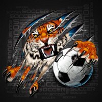 Festus Girls Soccer (@fhsgirlsoccer) 's Twitter Profile