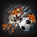 Festus Girls Soccer (@fhsgirlsoccer) Twitter profile photo
