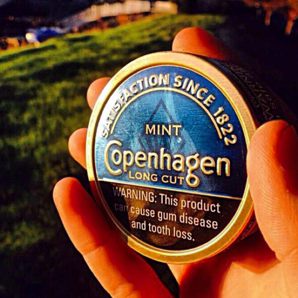 spitting_black's profile picture. Just a young dipper living the dream! Send cool pics of dip amd ill put them up on time line!!