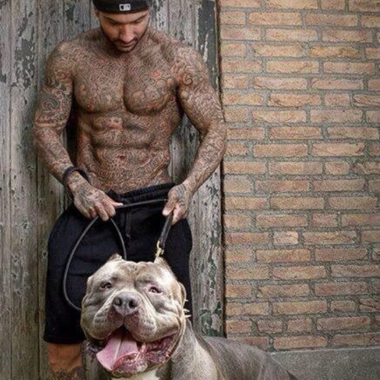 GerritHaterd's profile picture. \../