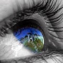 semlimitesonhos Profile Picture