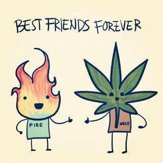Weed tweets tailored to all stoners alike.