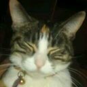 Tegan Boyd - @5470a4588d344f3 - Twitter