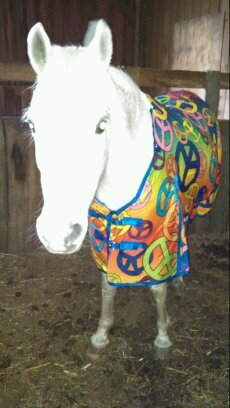 GreenhawShannon's profile picture. 