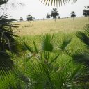 ali velasquez - @alialexvelasron - Twitter