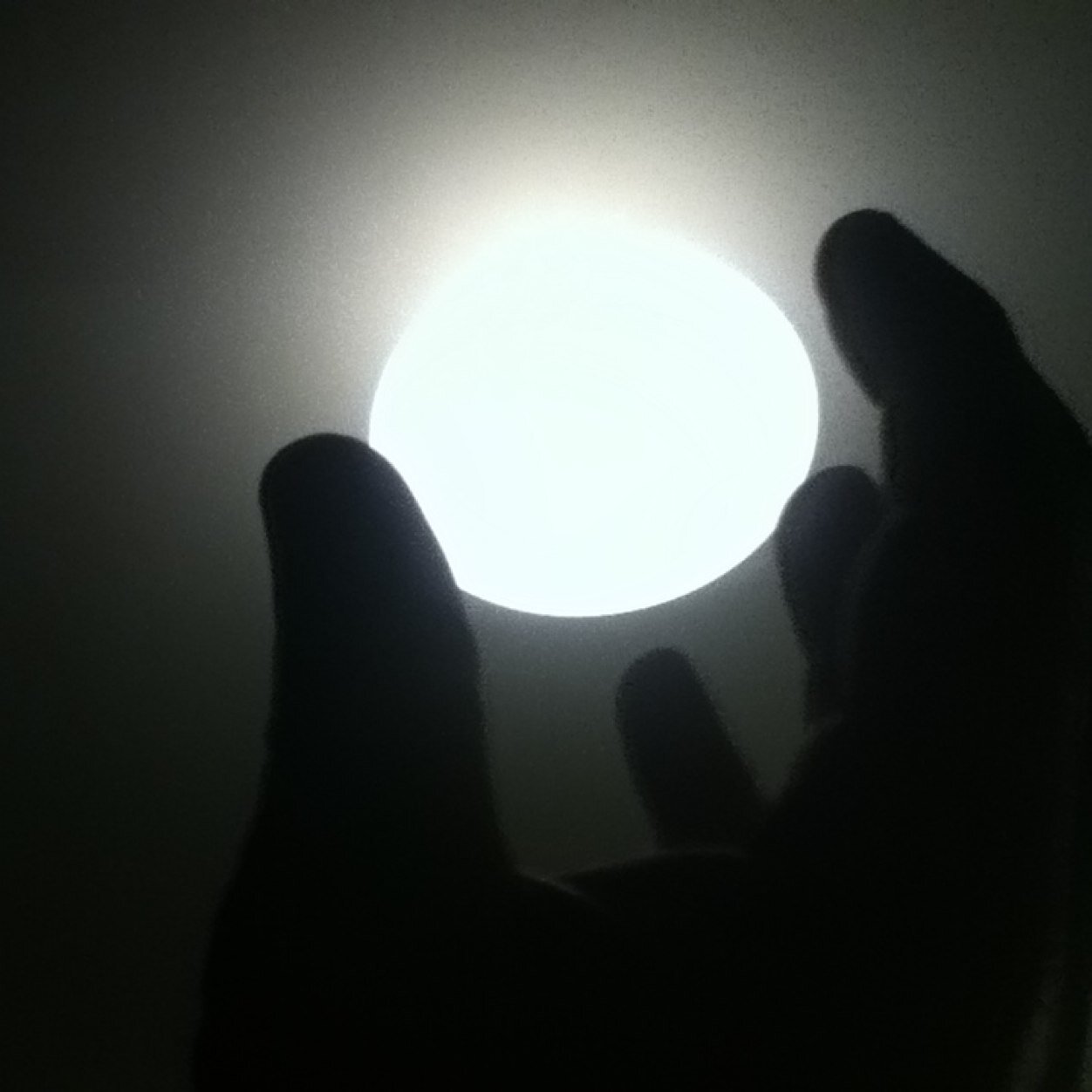 IAMacleod's profile picture. 