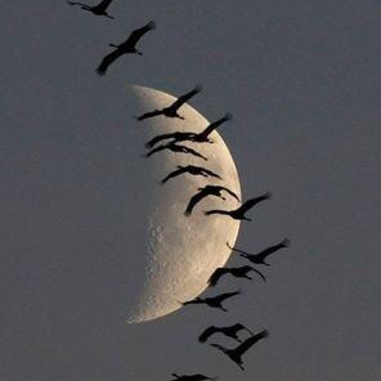 جَنّتُكَ يَارَبْ وَلآغَيرُهَا مُبْتَغَاً تَتُوقُ لَهُ الرّوحْ