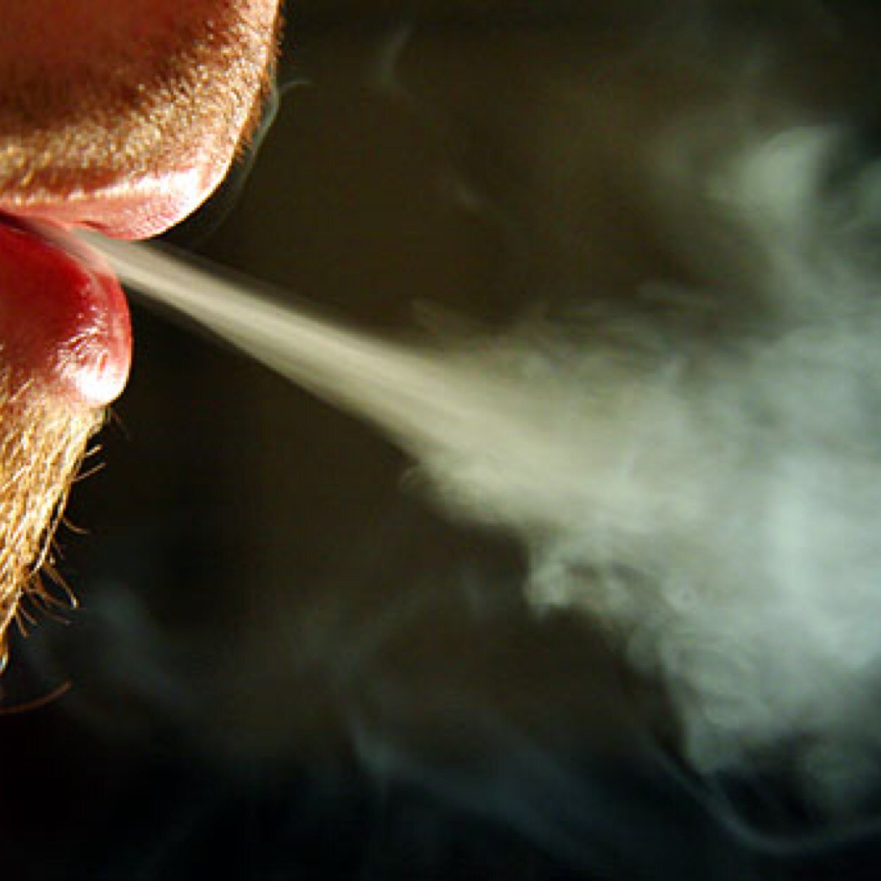 let's get high and a fly together... lover of kink..