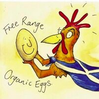 LowerMillOfTynetFarm (@highlandeggs) 's Twitter Profile