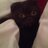 ChocoBeo's profile image