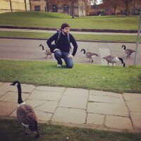 joelatron (@joelvandeven) 's Twitter Profile