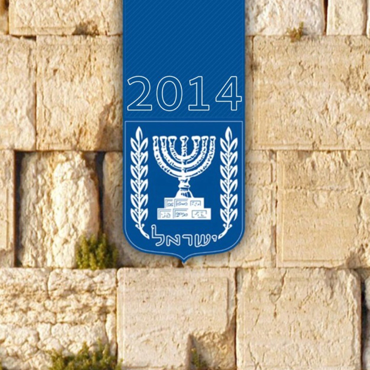 peproducties's profile picture. 