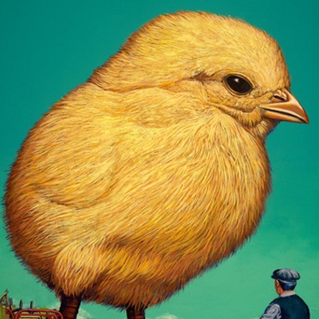 kothbiroo's profile picture. 