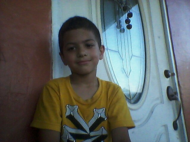 david