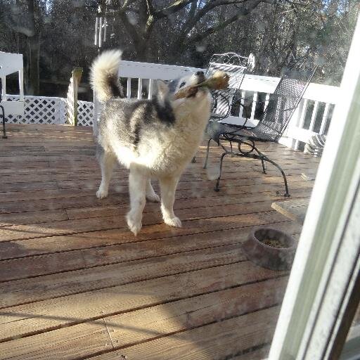 artbytes2001's profile picture. Enjoy Each Day the Lord has made; rejoice and be glad in it.