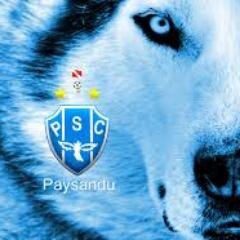 Romulo_Barata's profile picture. 