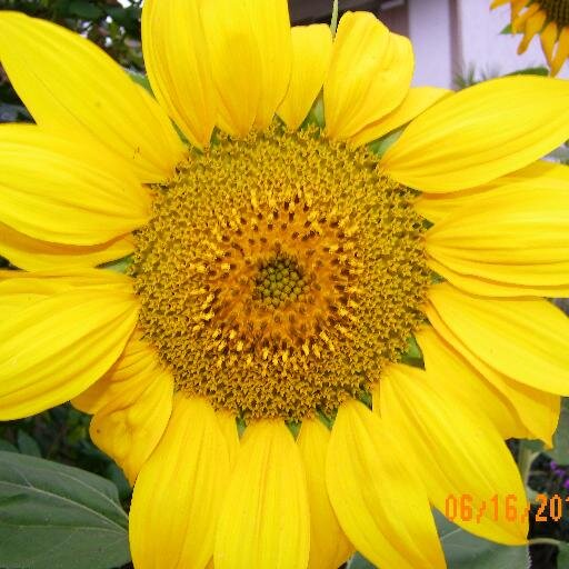 BobMatthew2's profile picture. Make quality products consistently by using the new Tool "Reverse SPC". If you are a manufacturer, you should be using this technology. Contact me for details