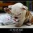 sadday100511's profile image