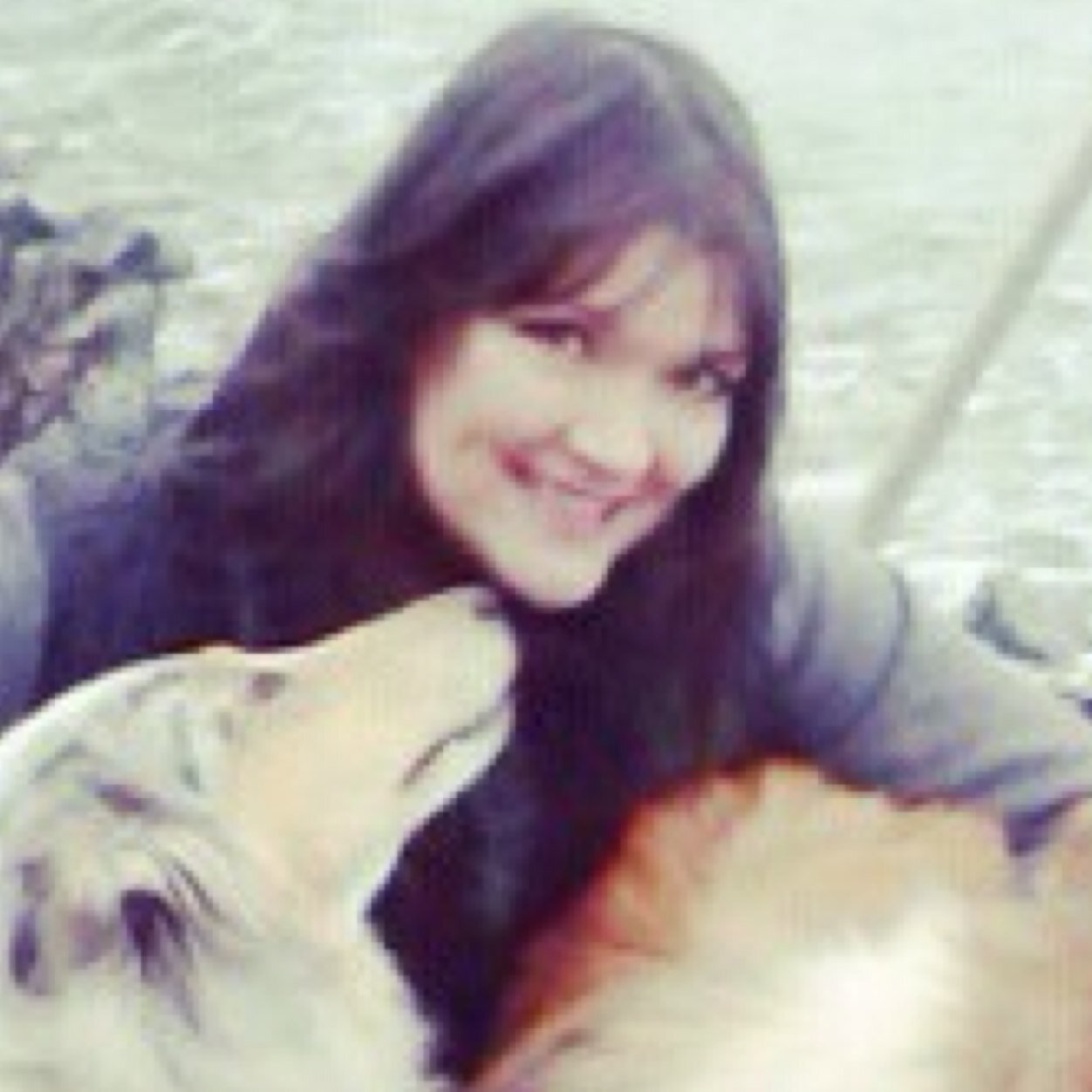 Favourite haunts and mysterious jaunts with 3 spirited dogs on an island.