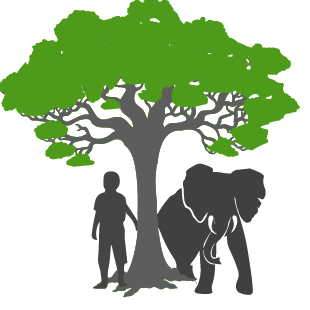 SEEDStoAfrica's profile picture. We collect vegetable seeds from Canada, send them to Zambia, in return they collect fallen tree seeds to reforest Zambia and support Elephants.