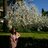 elisabeth_tr's profile image