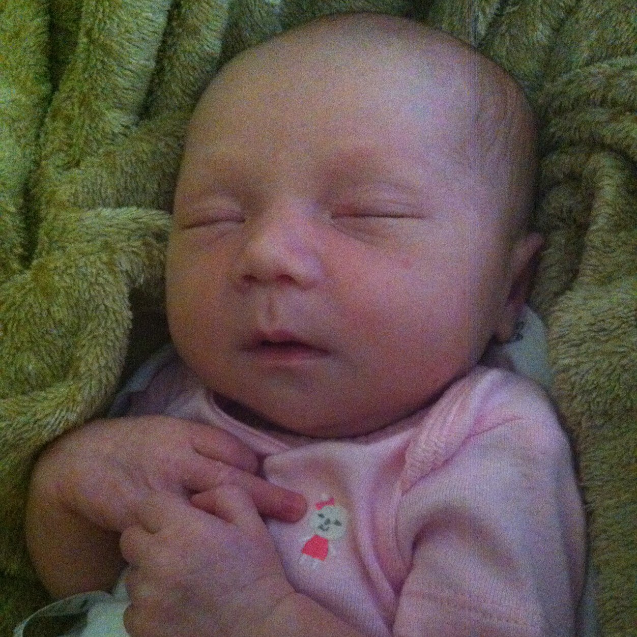 Momducki's profile picture. #family #food #fun #health