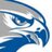 bcdirthawks's profile image