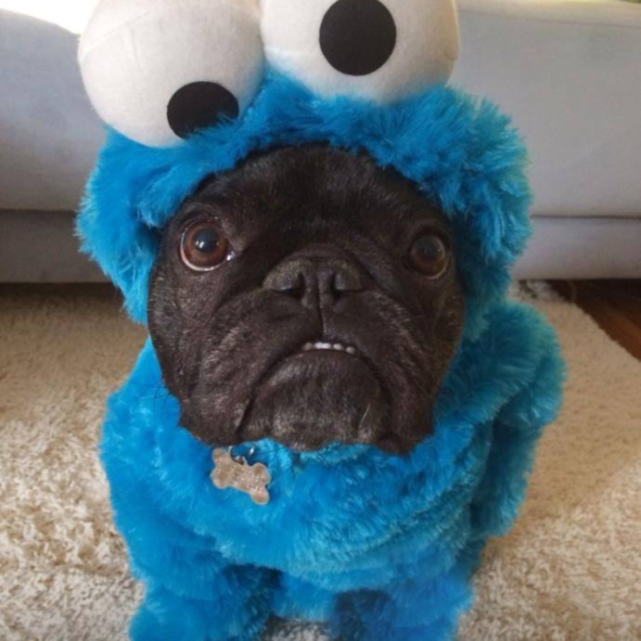 quo83114388's profile picture. Retweeting things that make people happy and people can relate to✌️