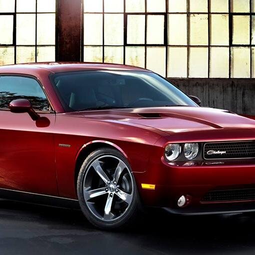 EsraaAhmedAbdul's profile picture. Love the life you live, live the life you love