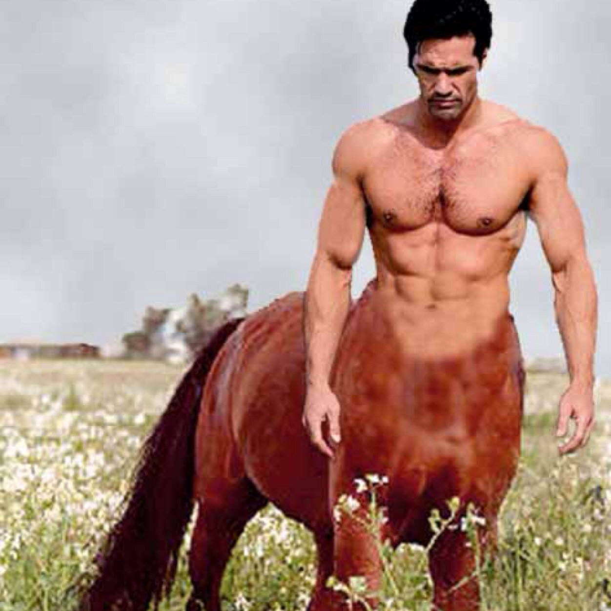 Half Horse Half Man. Columbus Til I Die. #HorseFromTheWaistDown
