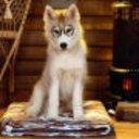 claudio  marasco - @claudio671 - Twitter