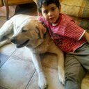 Felipe Cornejo Pérez - @Felipeacornejo - Twitter