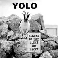 Vanessa Lanaway (@reddotscribble) 's Twitter Profile