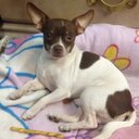 Kathy negrete - @NegreteKathy - Twitter