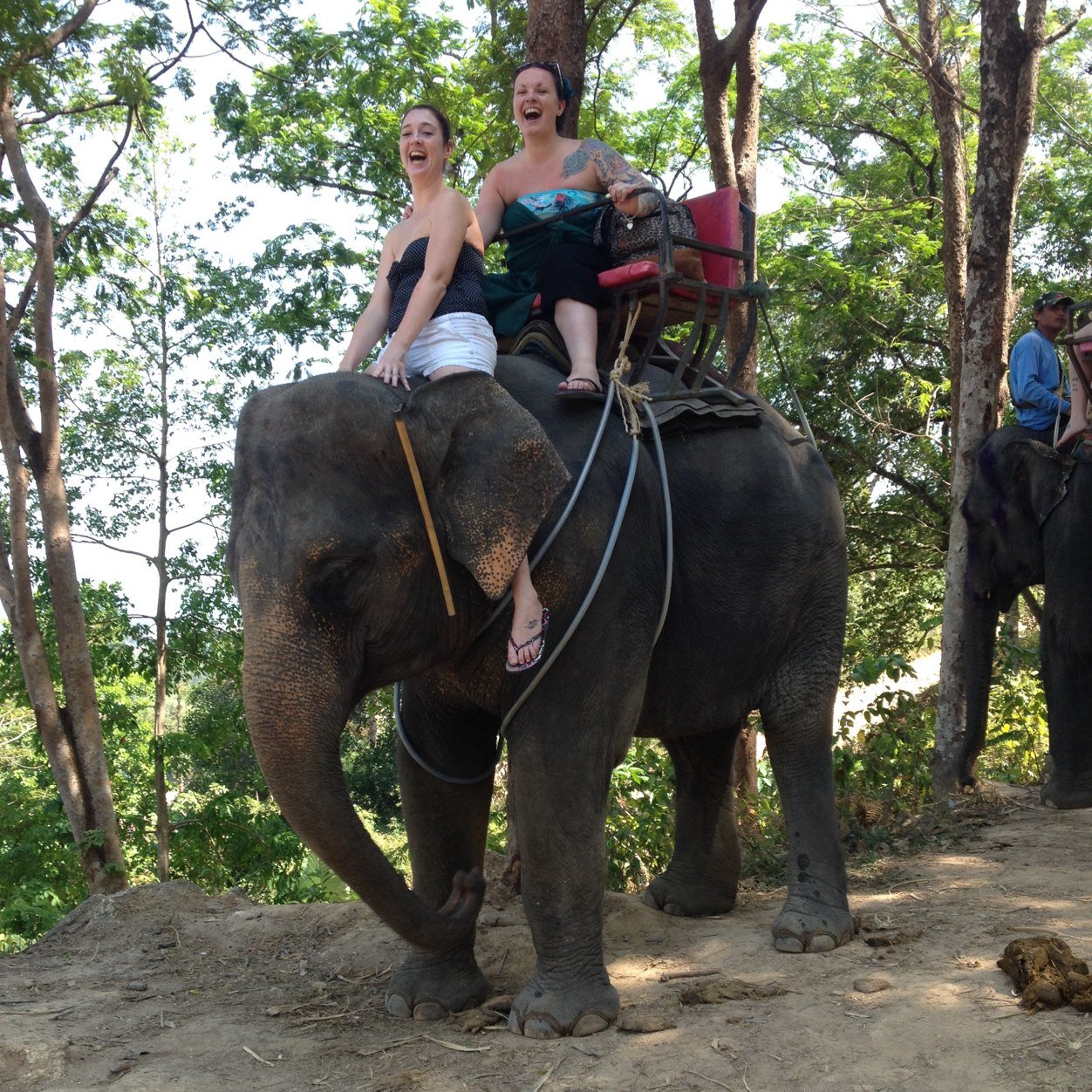 KerryPerryBerry's profile picture. Psychology graduate; lover of tea, knitwear, Brody Dalle & general tomfoolery.